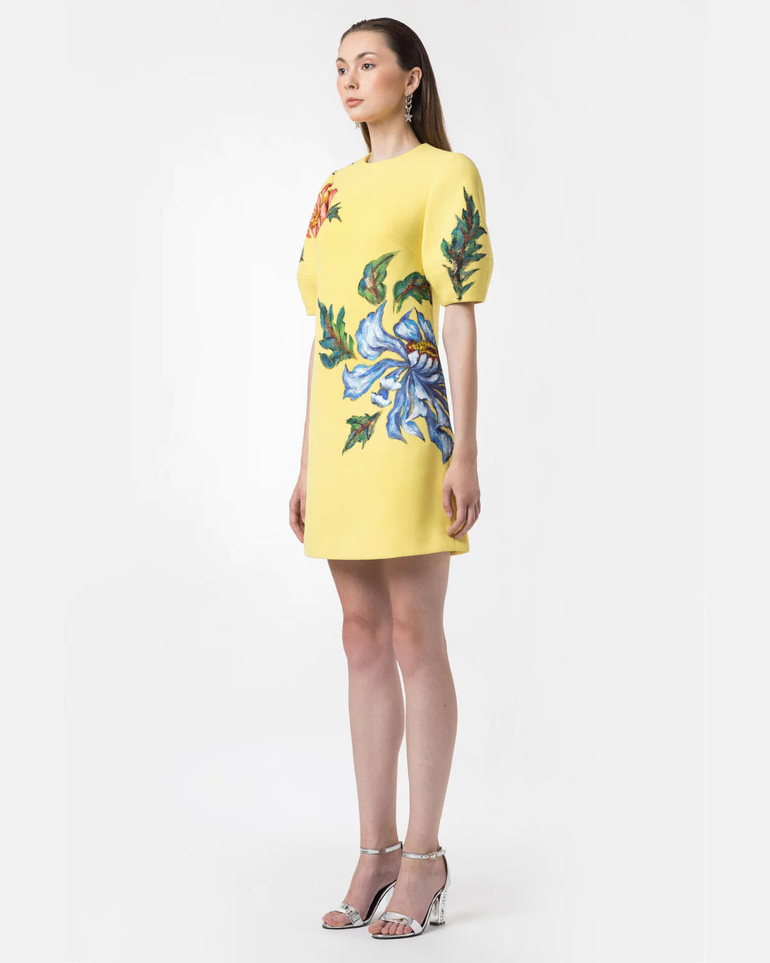 Poppy-painted Voluminous Sleeve Shift Dress – FashionRooftop